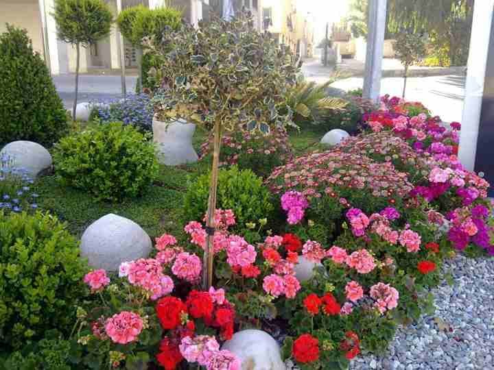أعمال زراعة وتنسيق الحدائق
لا تنسَ أنك شاهدت هذا الإعلان في عنكبوت
مؤسسة الحديقه العصريه لزراعة و...