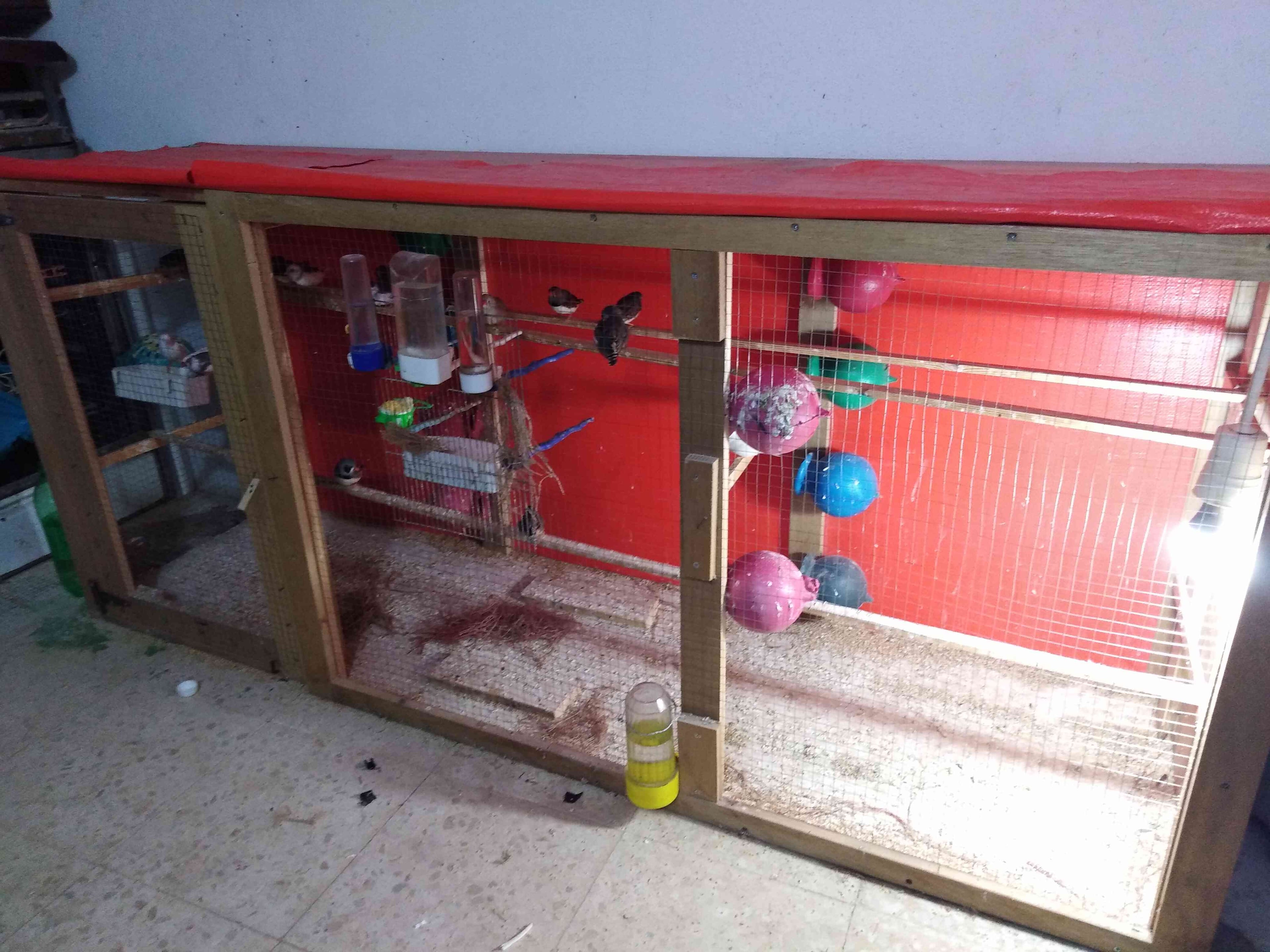 طيور جنة شغلات مع بيض
لا تنسَ أنك شاهدت هذا الإعلان في عنكبوت
10 جواز جنة شغلات اشي بايض وشي...