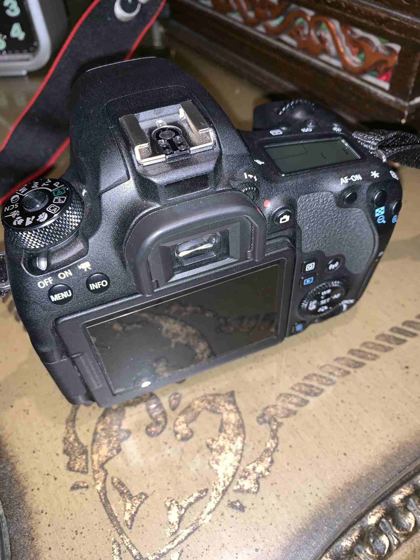 canon eos 77D
لا تنسَ أنك شاهدت هذا الإعلان في عنكبوت
كاميرا كانون مع عدسة tamrom 18-400
استخدام...