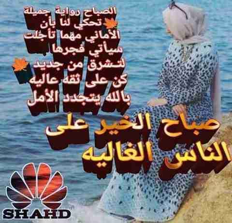 فوانيس حجر
لا تنسَ أنك شاهدت هذا الإعلان في عنكبوت
مخرطه عدي المغايره...