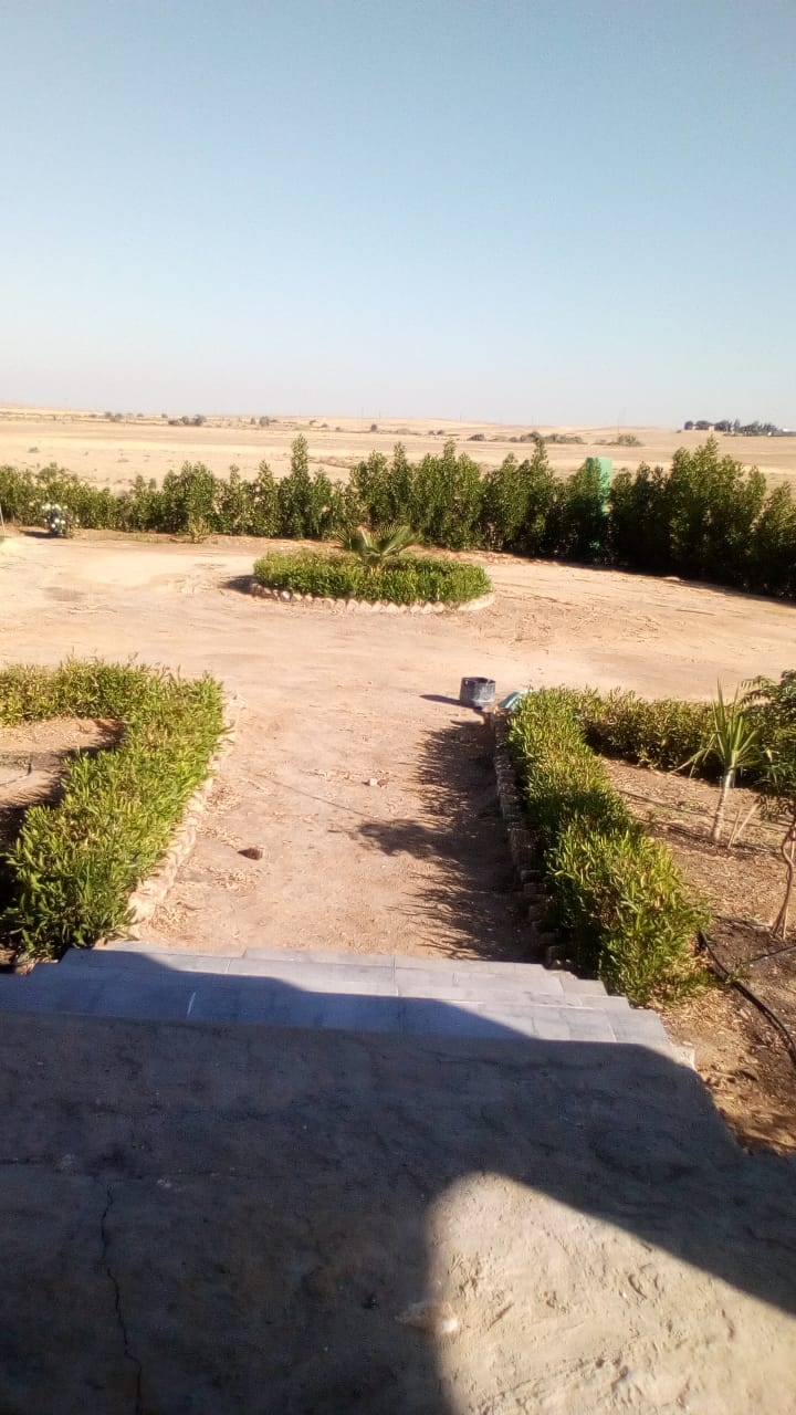 مشروع الفيلا
مزرعه 15 فدان
مميزات المشروع
1- فيلا بحديقه علي مساحة 2500 متر مربع كامله التشطيب ومفروشه
2- 8 فدان مجهزة بشبكات الري( أبار)
3- درجه الملوحه من 300 الي 500 جزء في المليون
4- طاقه شمسي...