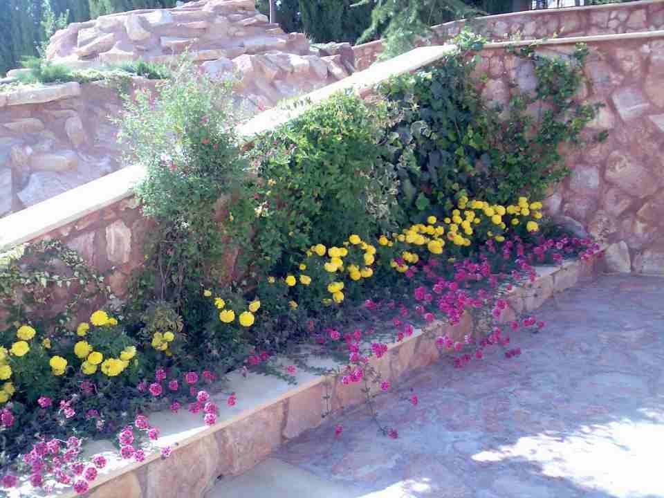 العلاونه لتنسيق الحدائق فلل وقصور 0796516675
لا تنسَ أنك شاهدت هذا الإعلان في عنكبوت
تنسيق حدائق...