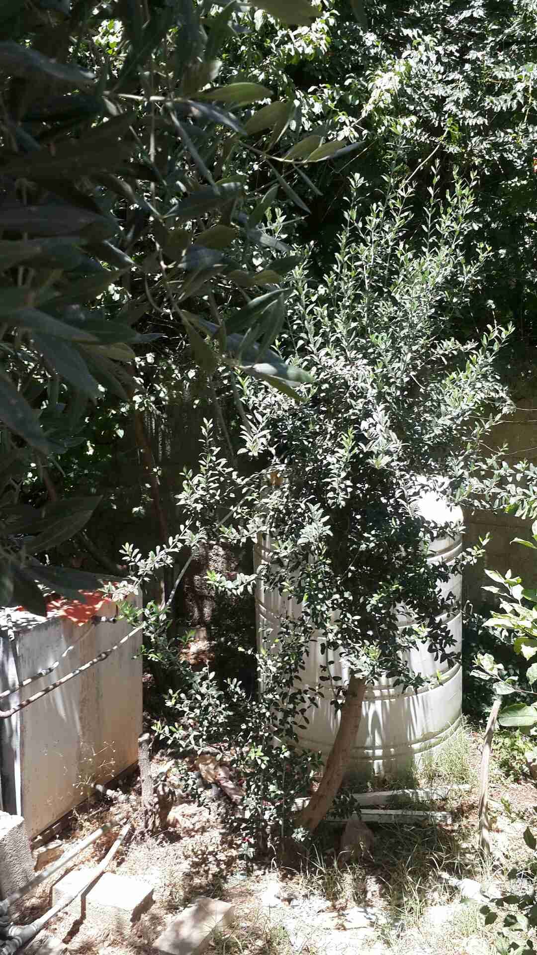 فيلا للبيع خلدا خلف المدارس الانجليزيه مساحه الأرض 400م البناء 350
لا تنسَ أنك شاهدت هذا الإعلان في عنكبوت...