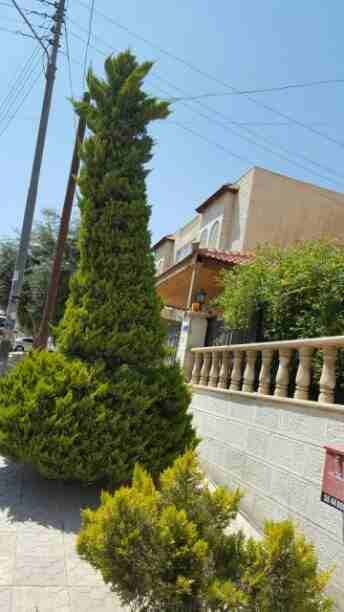 عمارة استثمارية تقع في حوض 6 الحجار /ابو علياء
لا تنسَ أنك شاهدت هذا الإعلان في عنكبوت
مكونه من...