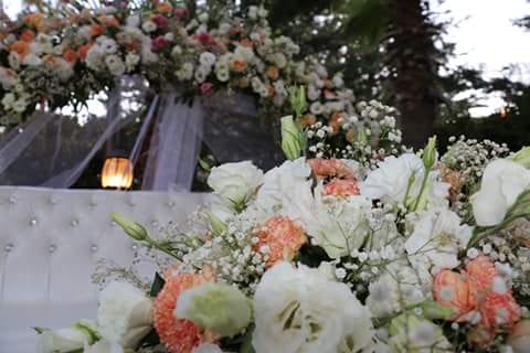 تصوير حفلات بأحدث الكاميرات
لا تنسَ أنك شاهدت هذا الإعلان في عنكبوت
0798689971
-------------------------------...