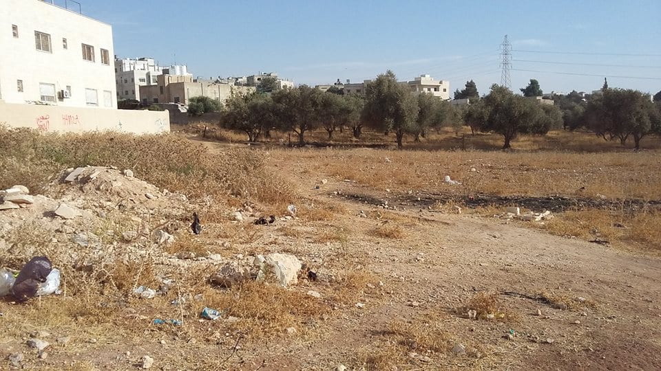 الأردن - عمان
ارض للبيع في الجويدة/ المستندات و ام زعرورة - قرب مسجد ابو بكر الصديق
القرية: الجويدة
حوض: المستندات و ام زعرورة
الموقع: المنطقة الواقعة مقابل نادي الرماية الملكي - قرب مسجد ابو بكر...