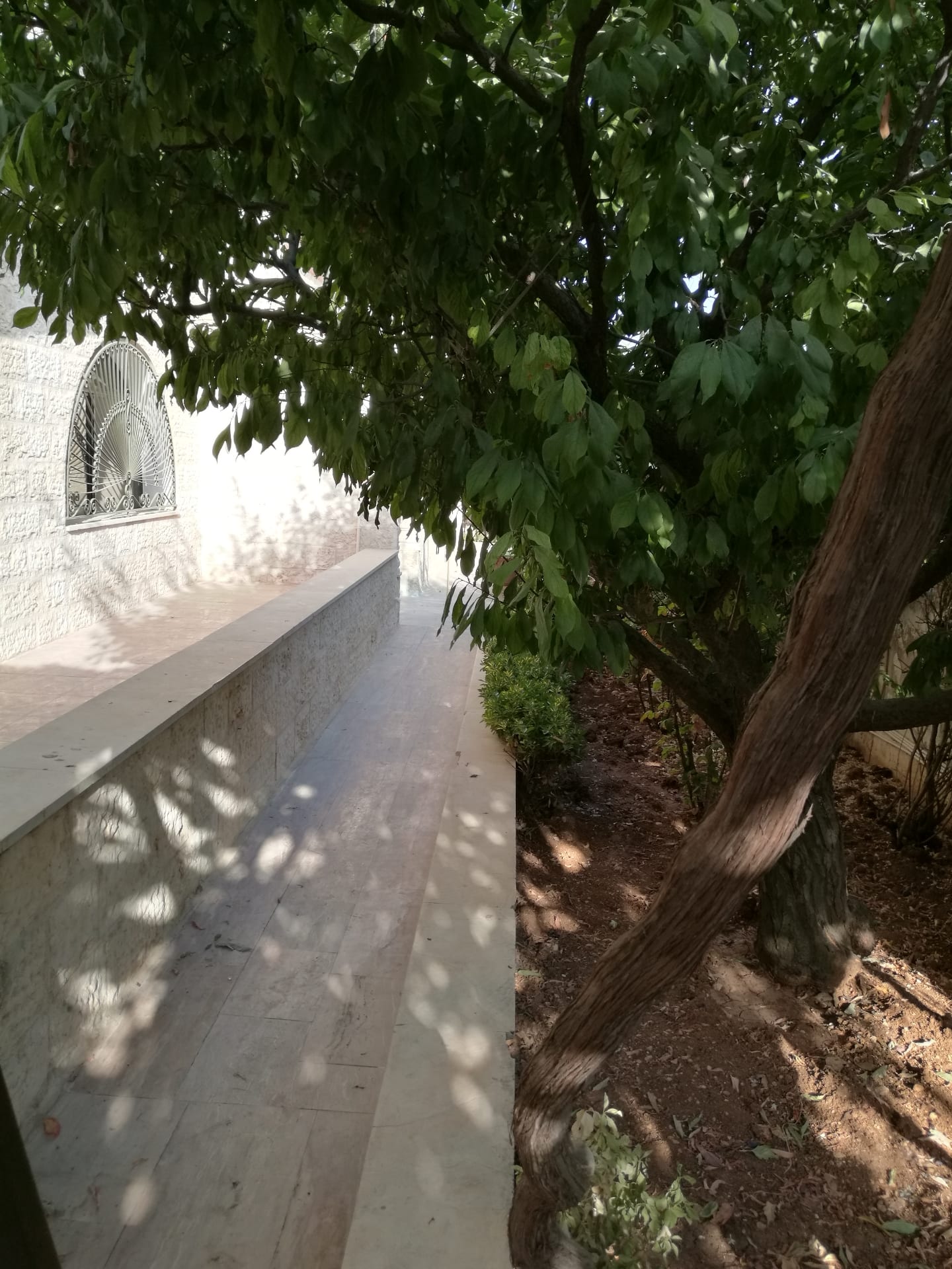 شقة فارغة للايجار ارضية مع حديقة وكراج خاص خلف برادايس
لا تنسَ أنك شاهدت هذا الإعلان في عنكبوت...