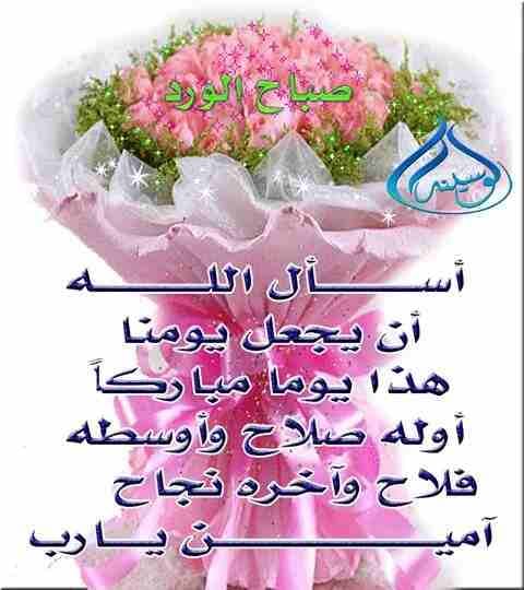 مطلوب خلوي اقساط أولي 100 وآخره 100 نوع s9 او نوع كويس غير هيك ما في مشكله
لا تنسَ أنك شاهدت هذا الإعلان في عنكبوت...
