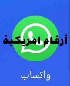 ارفام امريكيه للواتس
لا تنسَ أنك شاهدت هذا الإعلان في عنكبوت
ارقام امريكيه للواتس مقابل بطاقة شحن...