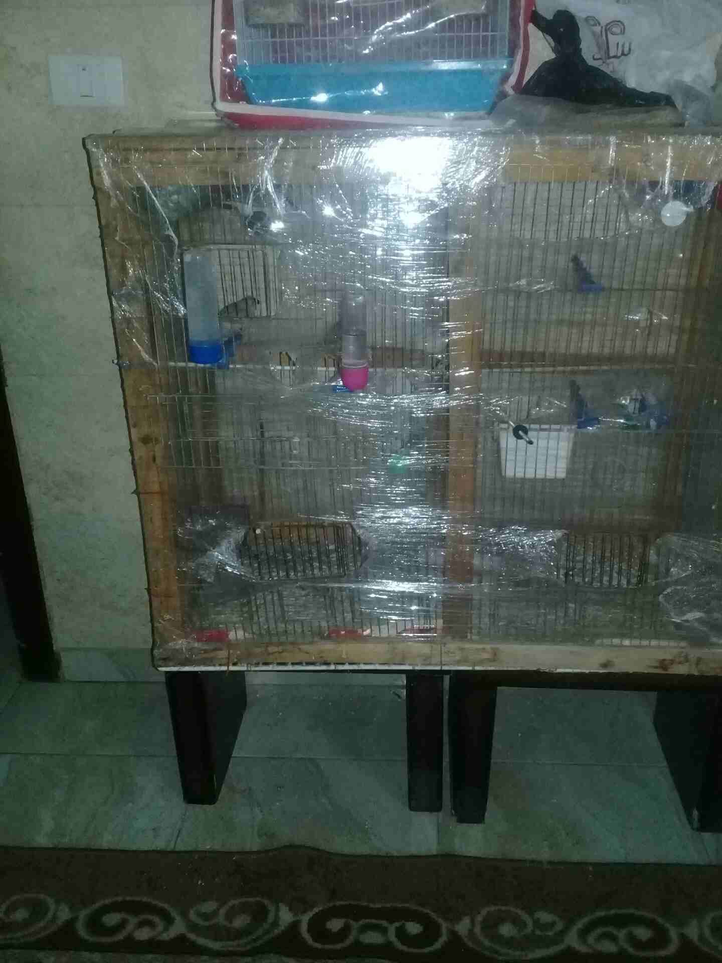 جبل الزهور مطير
لا تنسَ أنك شاهدت هذا الإعلان في عنكبوت
بسم الله مطير بدون اغراض سعر 15دينار مع ا...