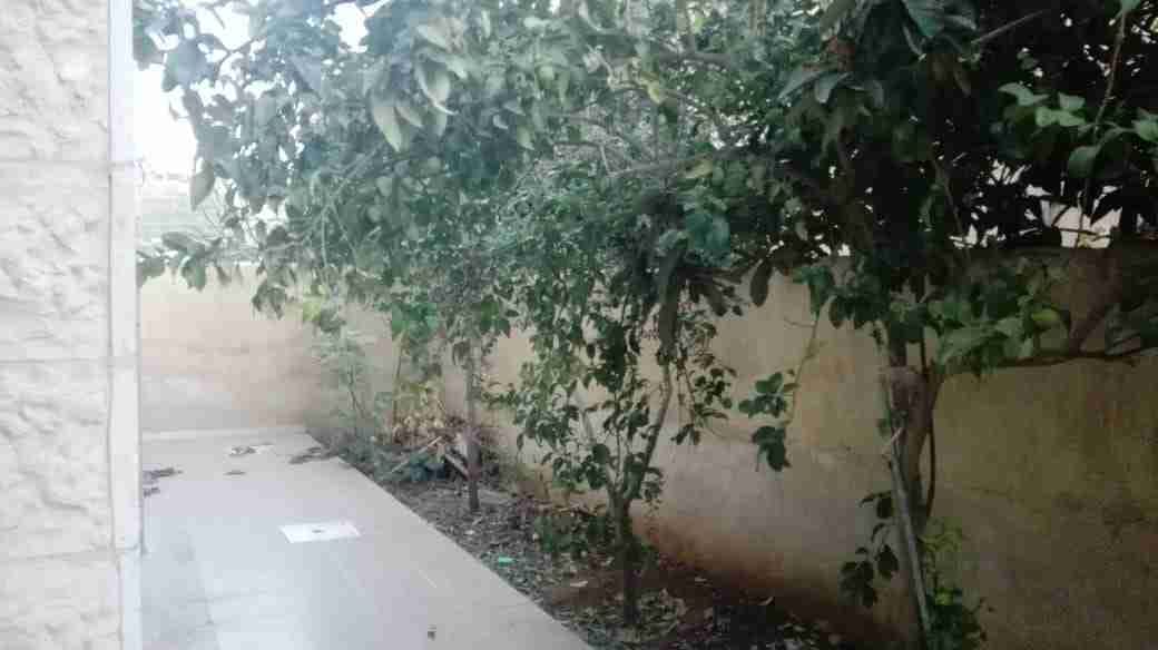ابو نصير
لا تنسَ أنك شاهدت هذا الإعلان في عنكبوت
شقة للإيجار سوبر ديلوكس الإيجار 180 دينار
ت...
