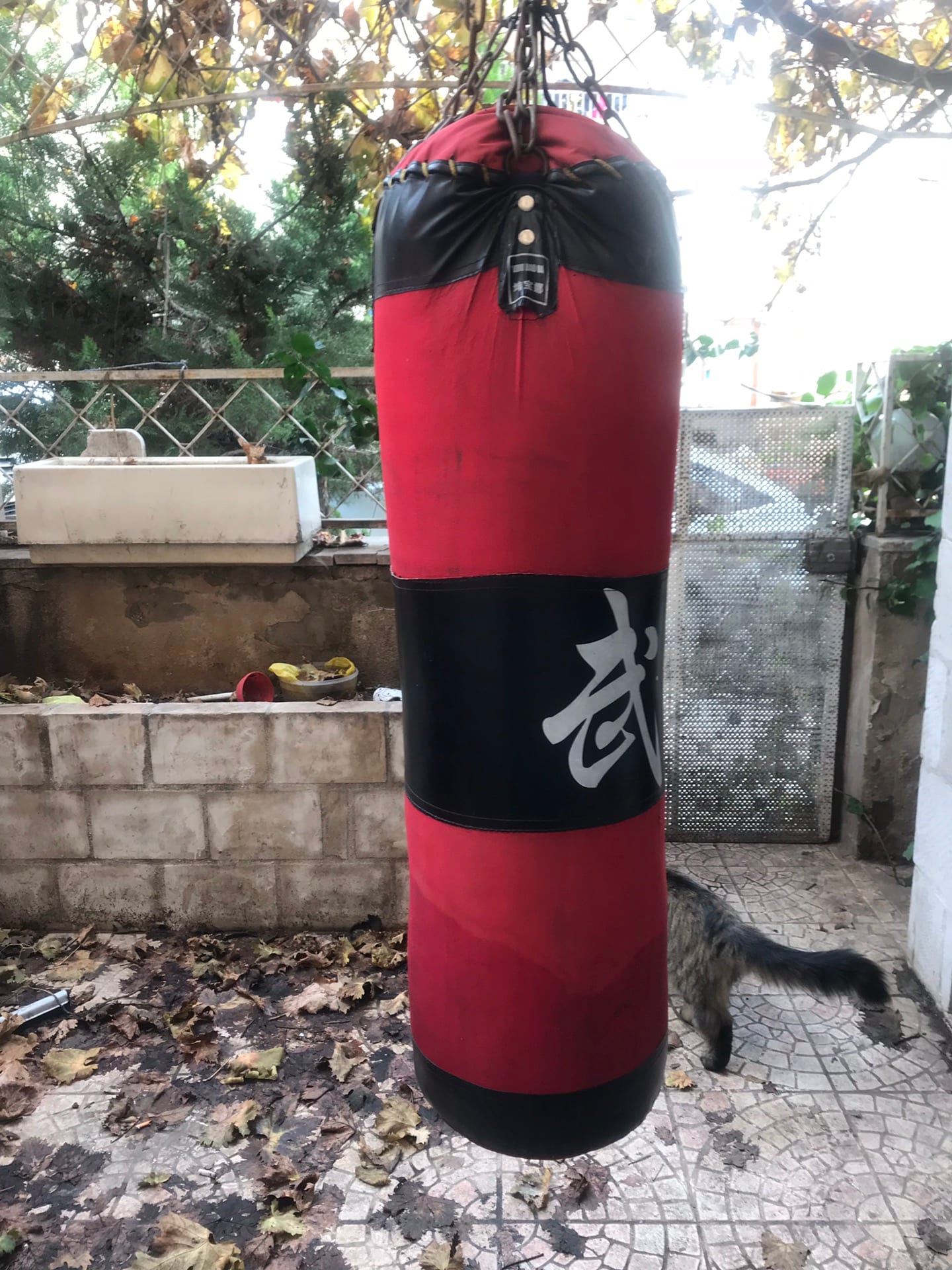 كيس boxing
لا تنسَ أنك شاهدت هذا الإعلان في عنكبوت
كيس boxing للبيع
حالته جيده
بداعي السفر...