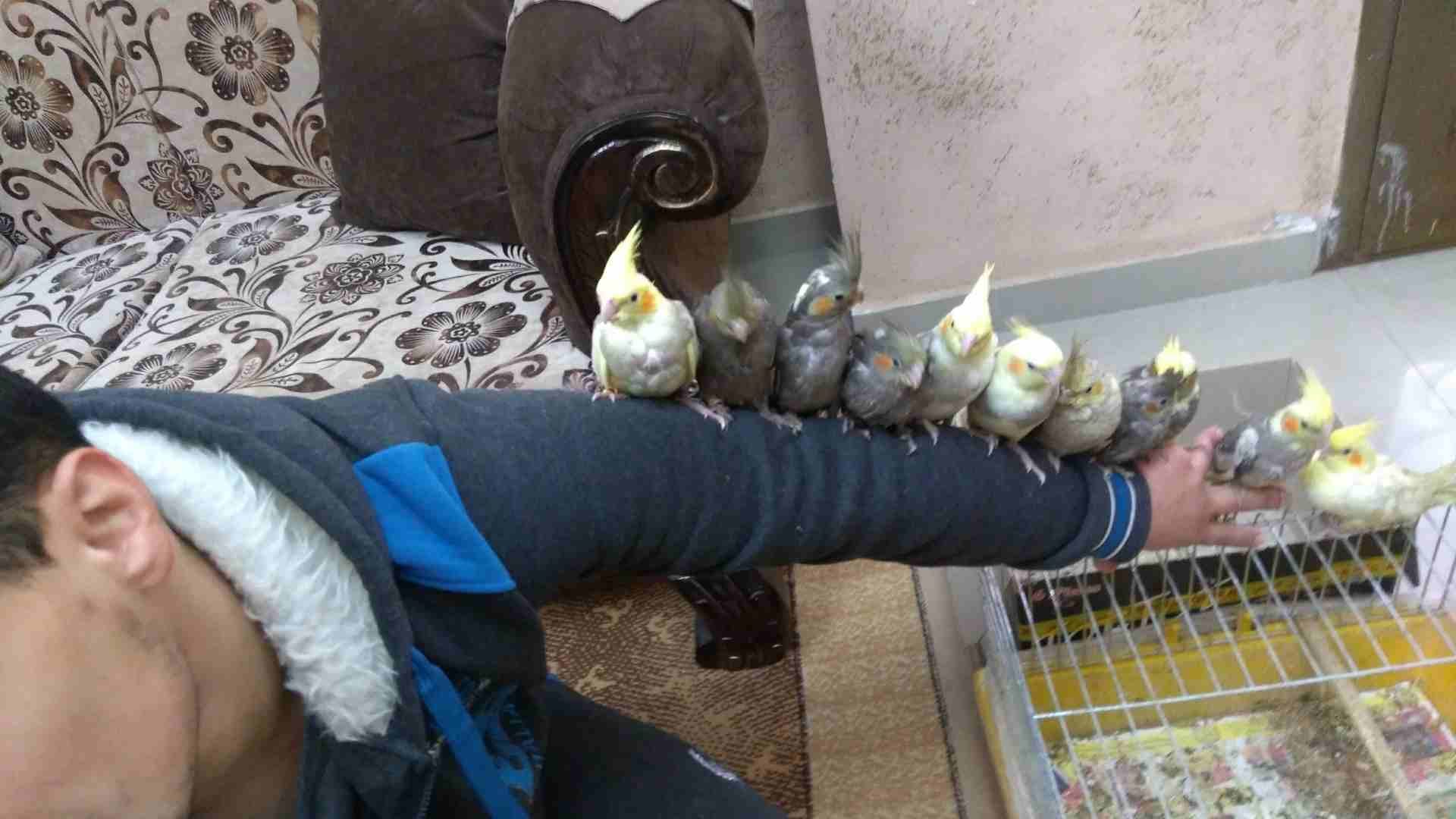 كوكتيل أليف
لا تنسَ أنك شاهدت هذا الإعلان في عنكبوت
ما شاء الله
عرض خاص يا بلاش بلدي صحة ونظافة
ك...