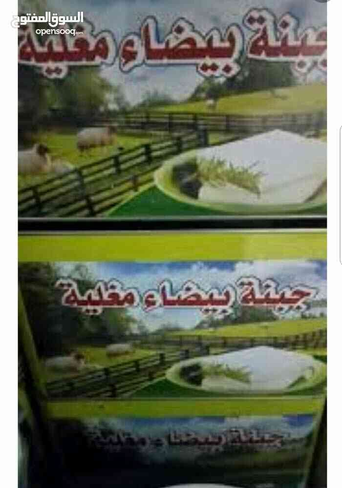 جبنه مغليه
لا تنسَ أنك شاهدت هذا الإعلان في عنكبوت
جبنه بلديه مغليه نخب اول 4 كيلو صافي شغل ن...