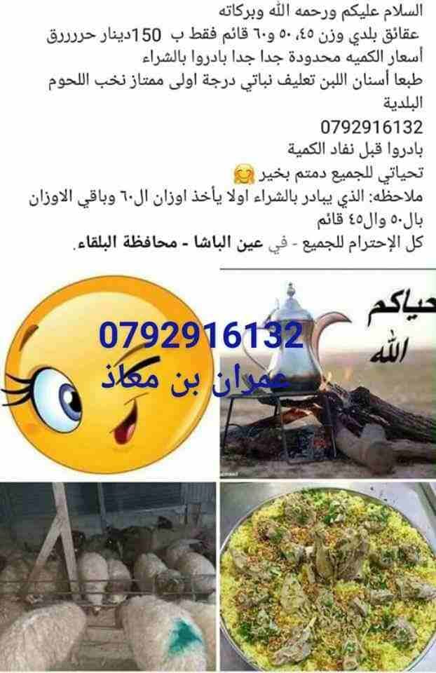 السلام عليكم ورحمه الله وبركاته
عقائق بلدي وزن 45، 50 و60 قائم فقط ب 150دينار
لا تنسَ أنك شاهدت هذا الإعلان في عنكبوت...