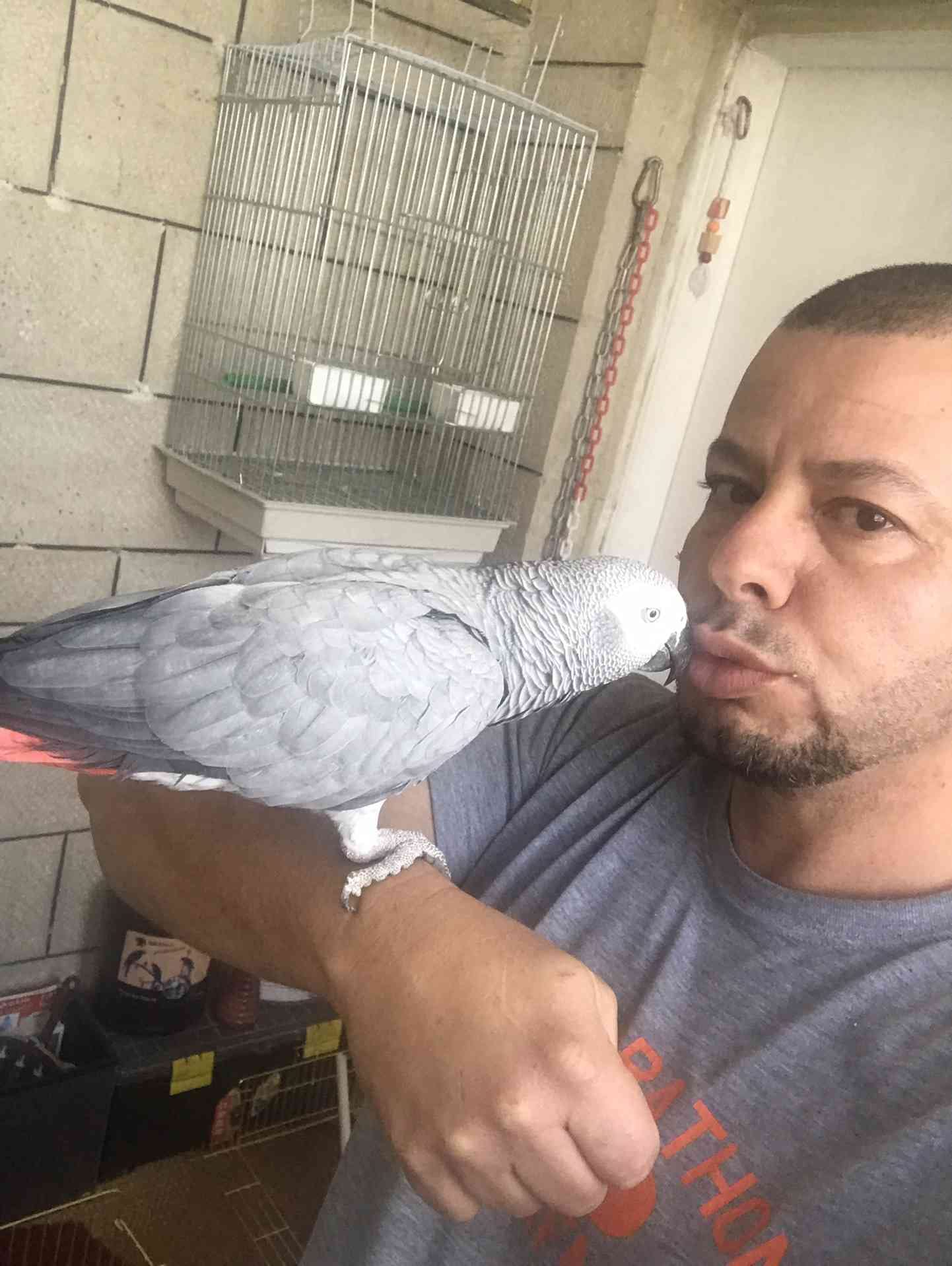 كاسكو اليف متكلم للبيع
لا تنسَ أنك شاهدت هذا الإعلان في عنكبوت
كاسكو متكلم اكثر من 30 كلمه ال...