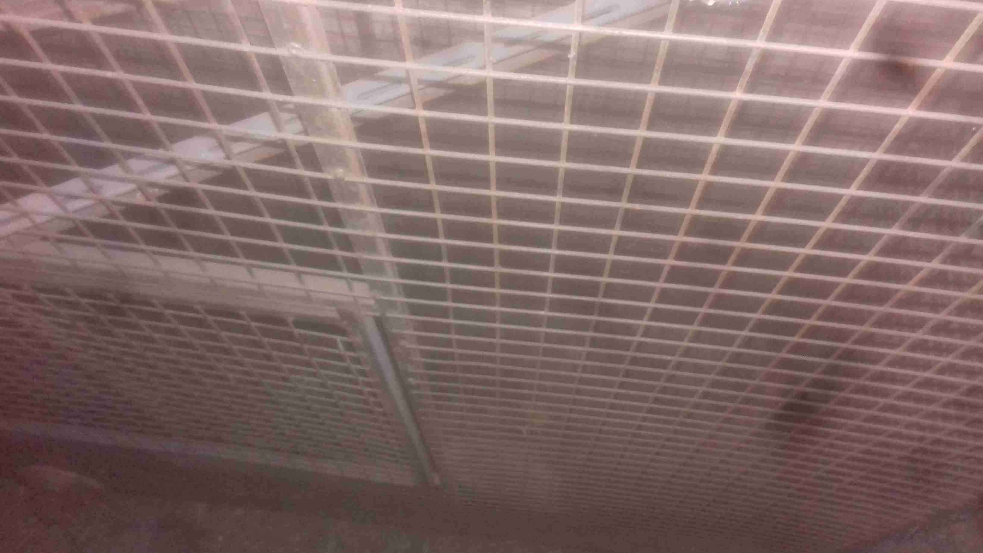 قفص ارنب
لا تنسَ أنك شاهدت هذا الإعلان في عنكبوت
قفص ارنب
رقم ال...