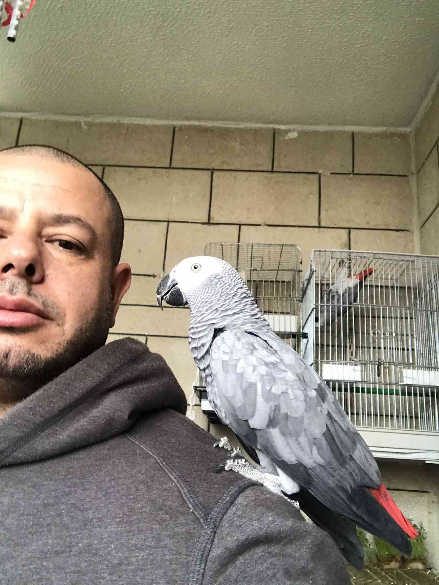 كاسكو لون صدفي اليف متكلم للبيع
لا تنسَ أنك شاهدت هذا الإعلان في عنكبوت
كاسكو عمرو سنه ونص ال...