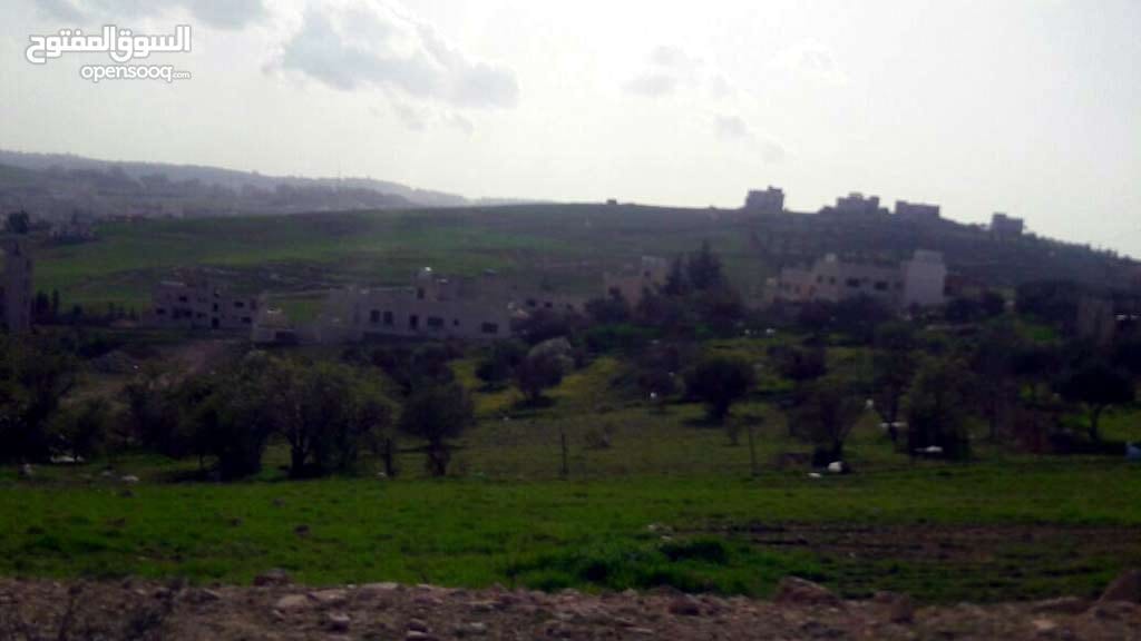 شفا بدران مرج الفرس 756م سكن ب محاطه بالفلل مطله
لا تنسَ أنك شاهدت هذا الإعلان في عنكبوت
ارض...