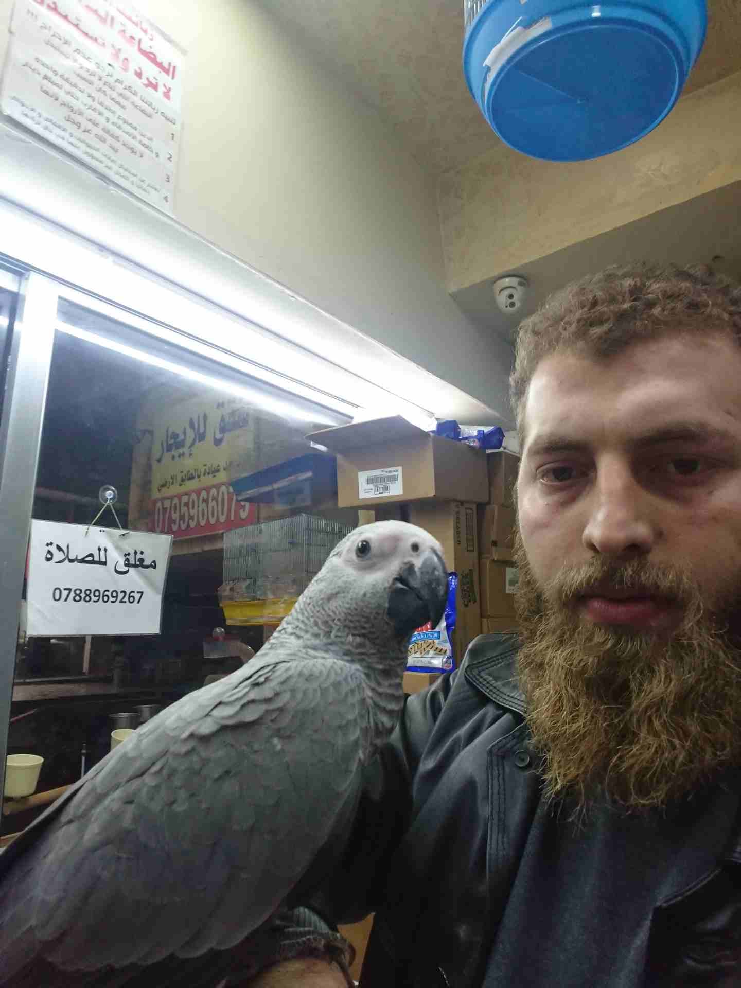 فرخ كاسكو مزارع للمربين الكاسكو فرخ الحلم عين سودة حجل دهبي رأس الطير.
لا تنسَ أنك شاهدت هذا الإعلان في عنكبوت...