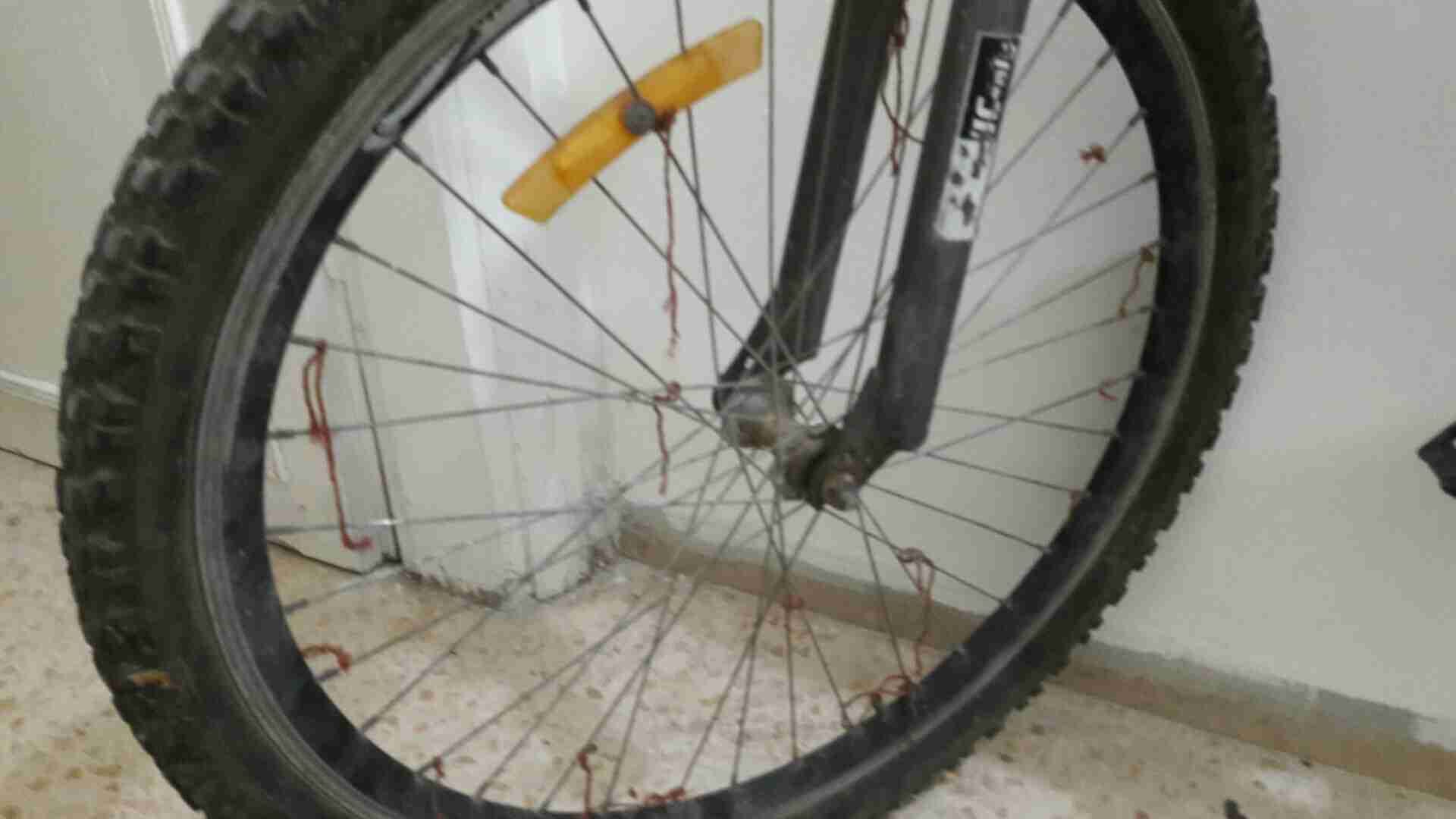 باسكاليت SUPER CLASSIC SPORTS BICYCLE
لا تنسَ أنك شاهدت هذا الإعلان في عنكبوت
بحالت الوكالة ف...