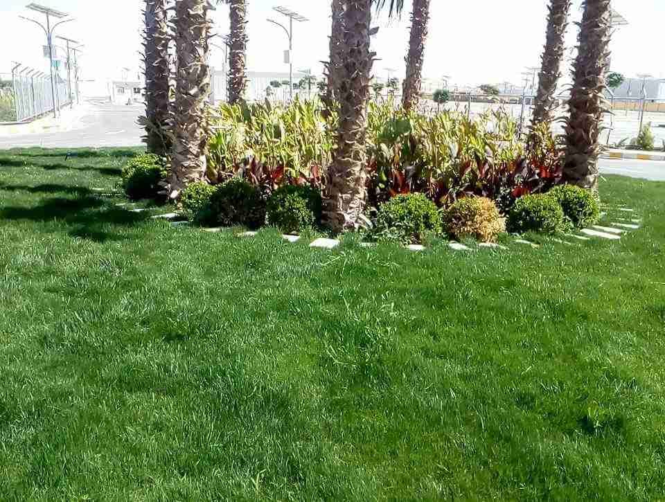 تنسيق وتصميم حدائق
لا تنسَ أنك شاهدت هذا الإعلان في عنكبوت
مؤسسة يامن فلور الزراعية لتنسيق ال...