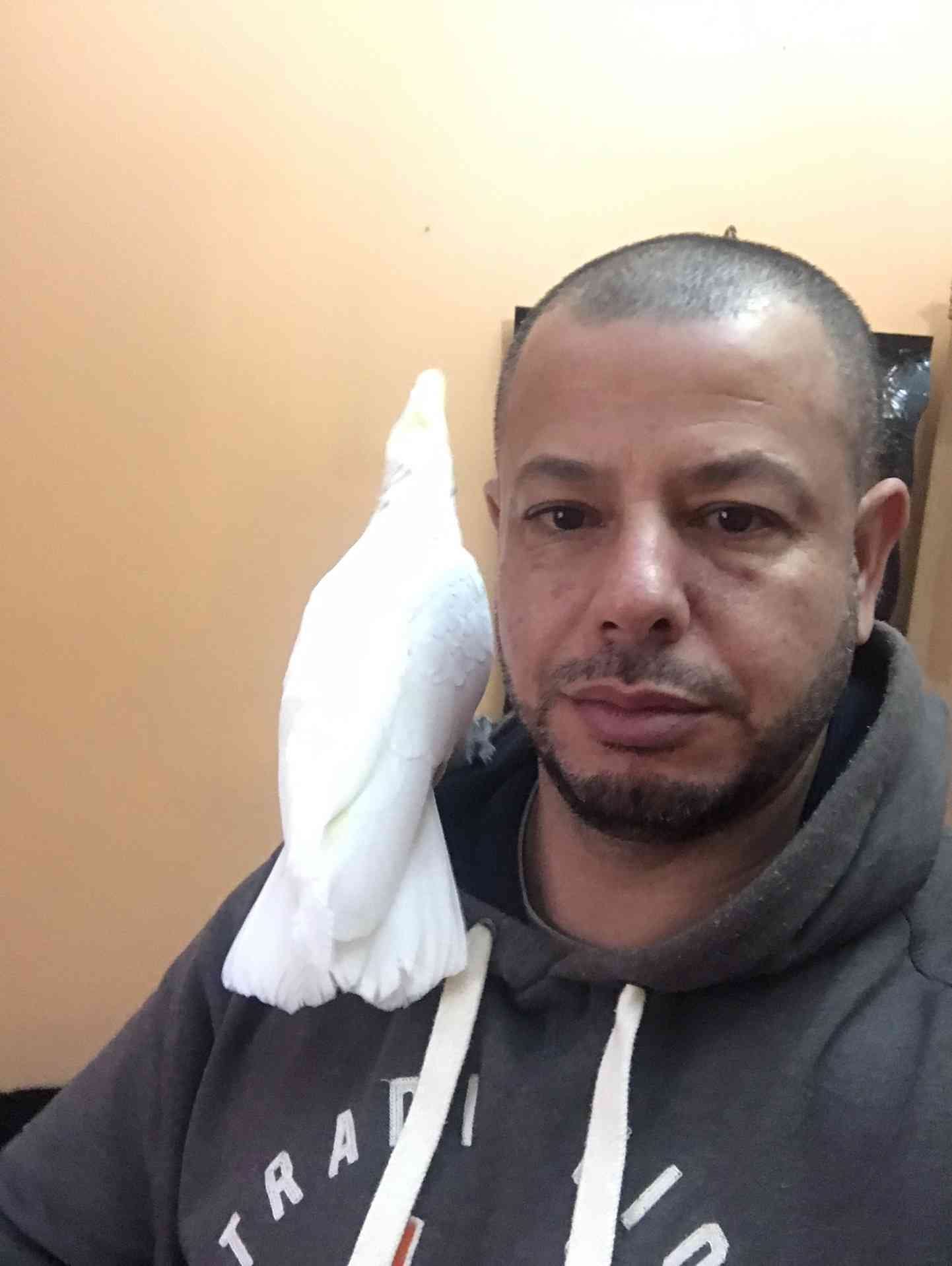 كوكاتو بلوقوفن اليف للبيع 300 دينار
لا تنسَ أنك شاهدت هذا الإعلان في عنكبوت
كوكاتو قوفن اليفه...