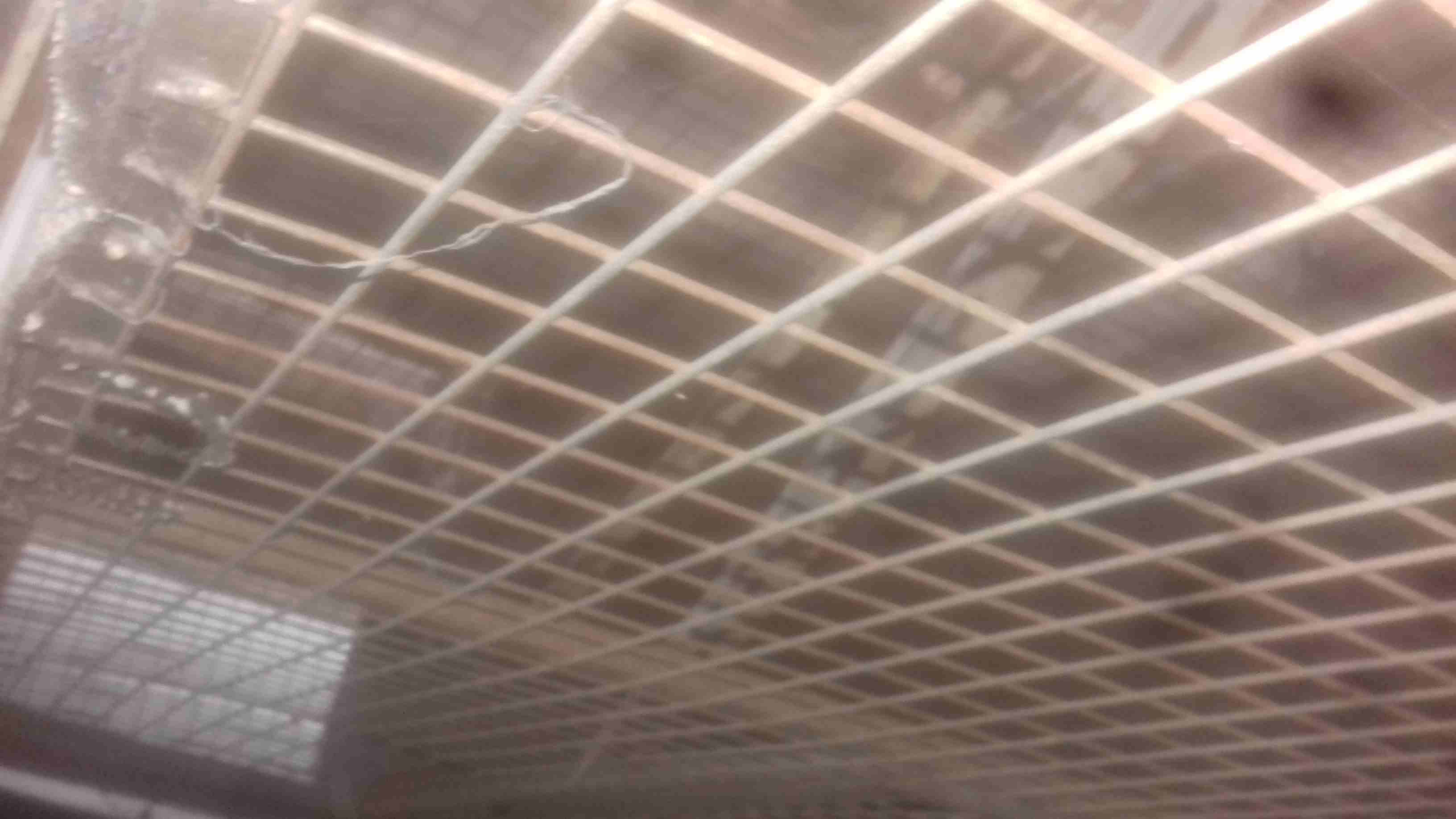 قفص ارنب
لا تنسَ أنك شاهدت هذا الإعلان في عنكبوت
قفص ارنب
رقم ال...