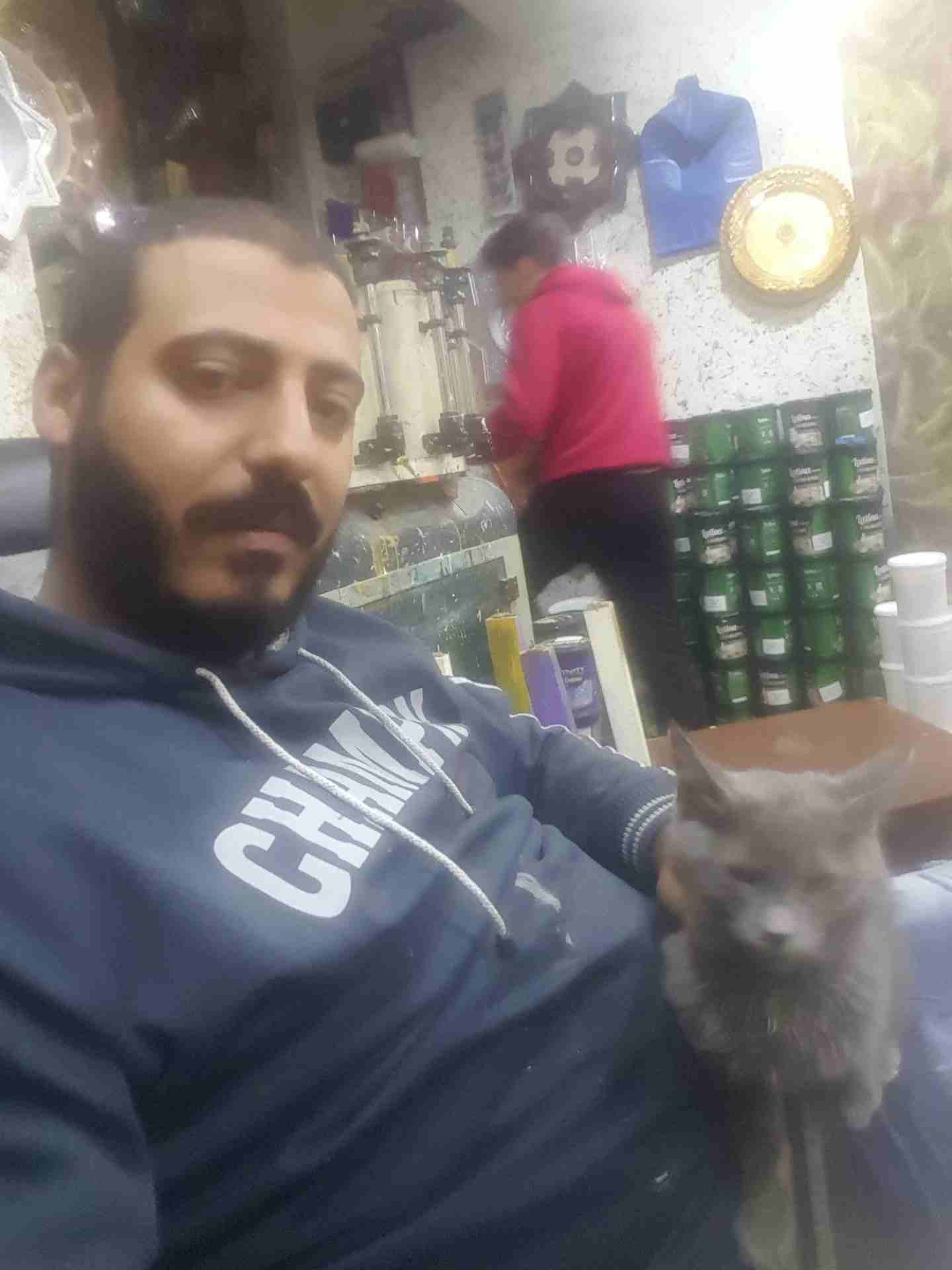 قط اليف ولعوب
لا تنسَ أنك شاهدت هذا الإعلان في عنكبوت
قط للبيع انثى...