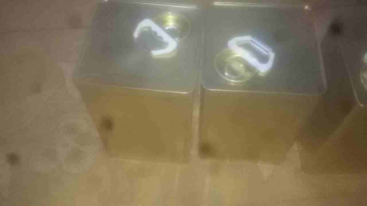 تنكه ززيت زيتون في اربد بشرى
لا تنسَ أنك شاهدت هذا الإعلان في عنكبوت
للجاادين0798137069...