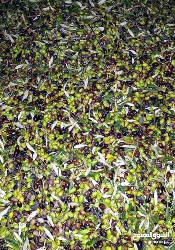 زيت زيتون
لا تنسَ أنك شاهدت هذا الإعلان في عنكبوت
يوجد لادينا زيت زيتووون بلادي السعرعند التص...