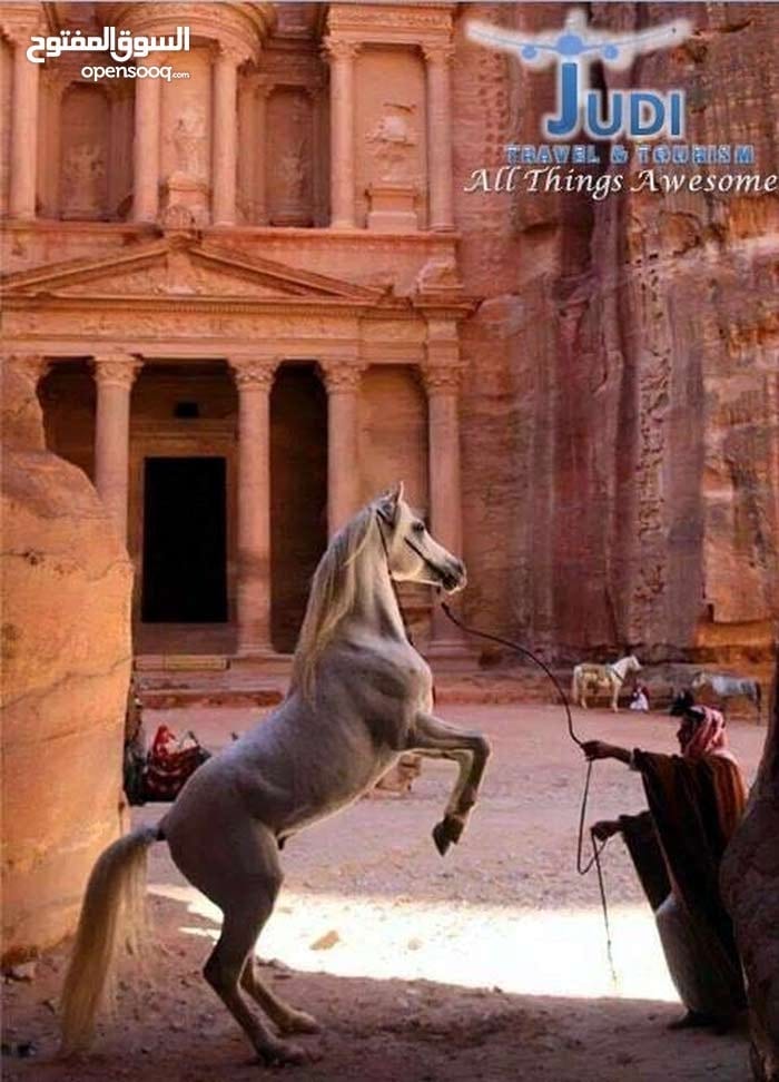 هونداي H1 حديث VIP لخدمات الرحل والتوصيل/ عمان و الزرقاء
لا تنسَ أنك شاهدت هذا الإعلان في عنكبوت...