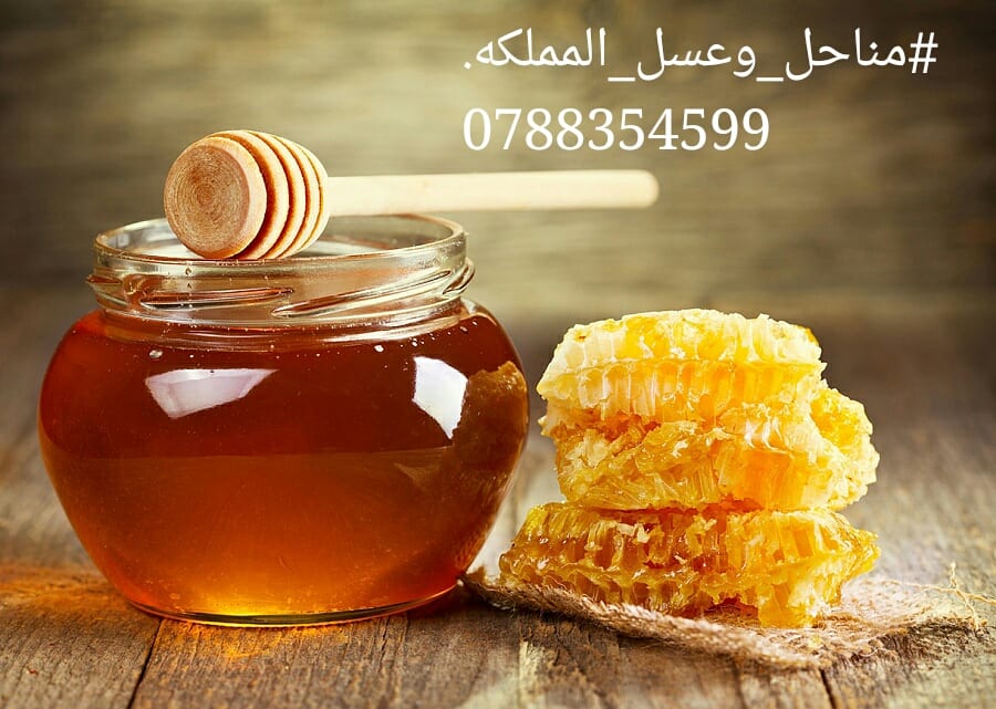 عسل بلدي مظمون ٪ لتجار الجمله للإستفسار يرجى الاتصال
لا تنسَ أنك شاهدت هذا الإعلان في عنكبوت...