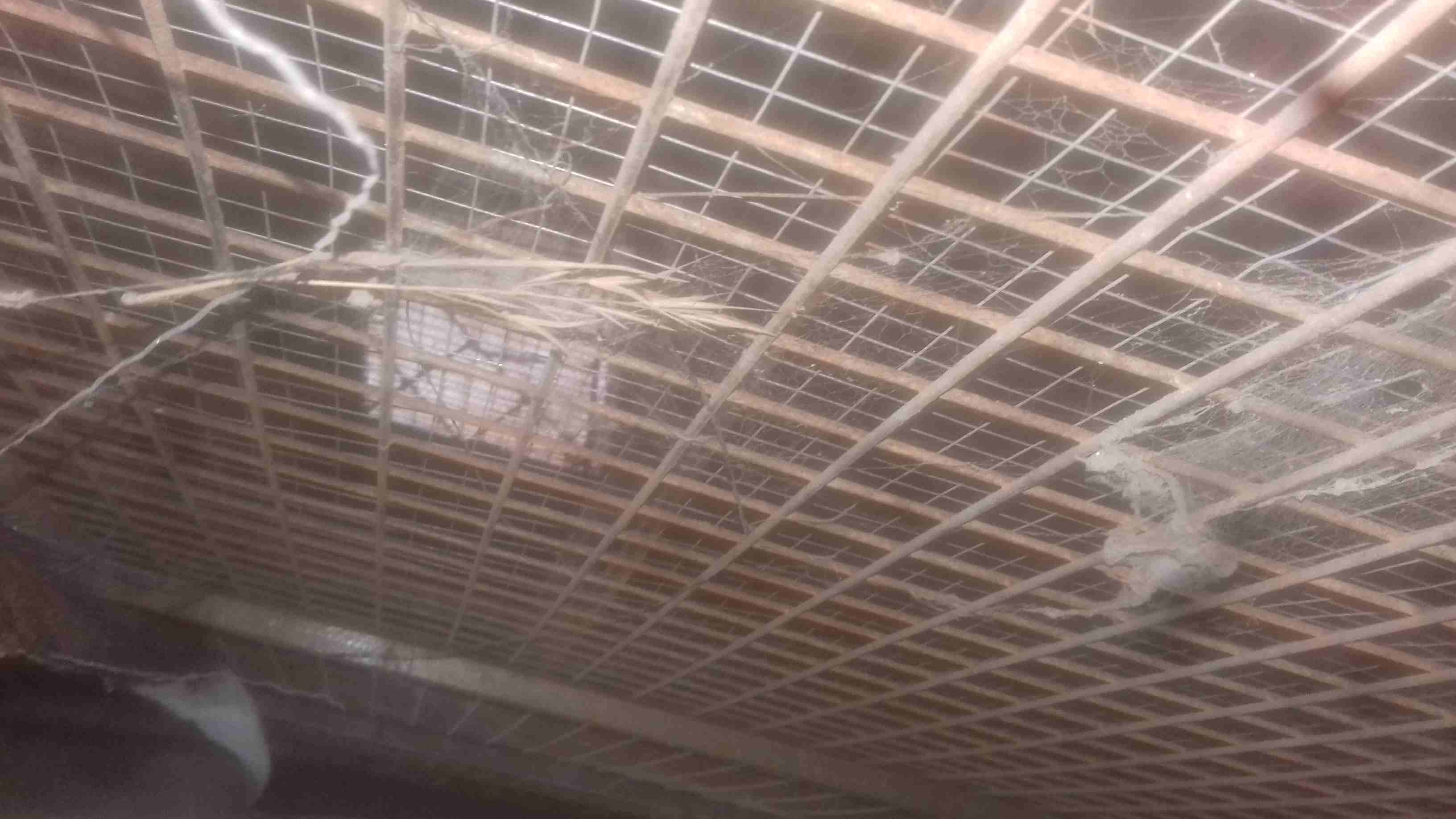 قفص ارنب
لا تنسَ أنك شاهدت هذا الإعلان في عنكبوت
قفص ارنب
رقم ال...
