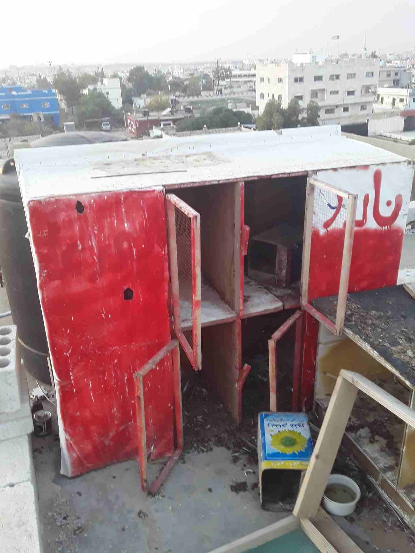 123456
لا تنسَ أنك شاهدت هذا الإعلان في عنكبوت
بيع القفص 10دنانير مقابل حمام بلدي او نوع...
