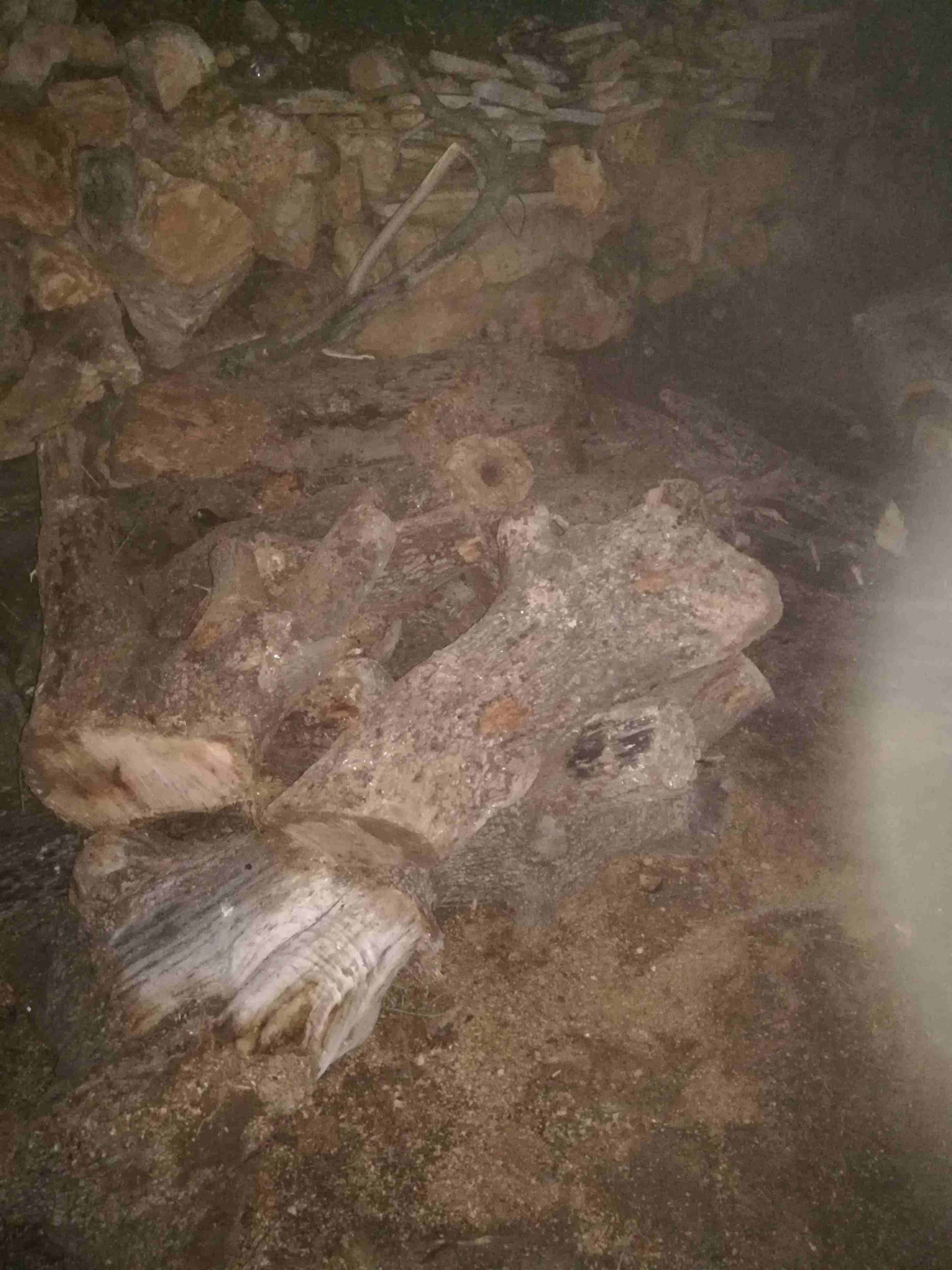حطب بلوط اصلي للبيع
لا تنسَ أنك شاهدت هذا الإعلان في عنكبوت
حطب يابس للبيع بلوط اصلي سعر طون 100...