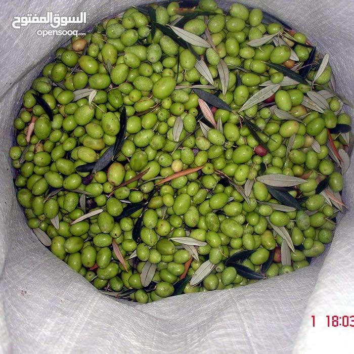 زيت زيتون اصلي
لا تنسَ أنك شاهدت هذا الإعلان في عنكبوت
السلام عليكم
موجود زيت زيتون اصلي مكف...