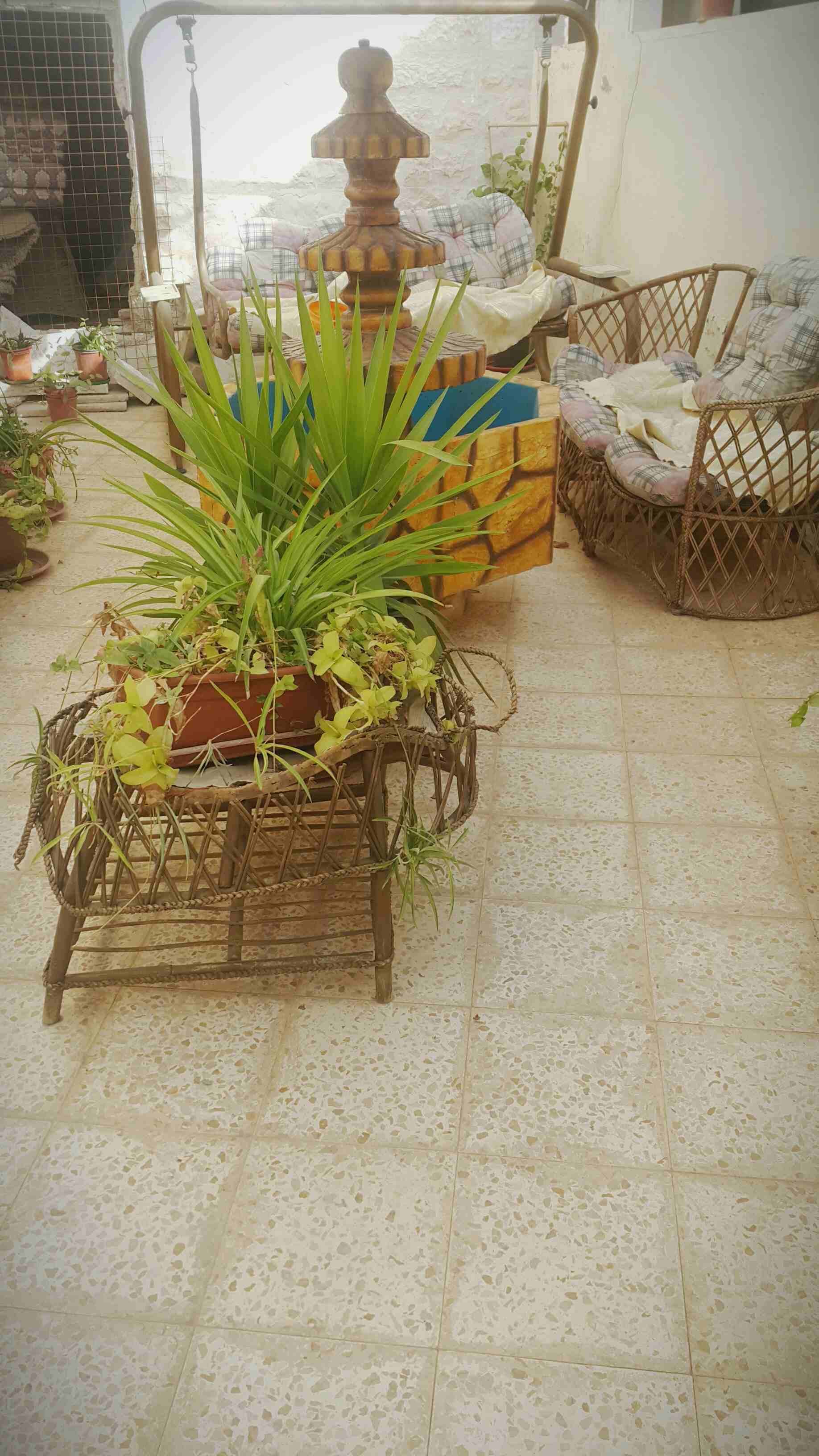 ابو علندا/الرقيم/خلف مطاحن زهرة المدائن شارع عبد الحميد الشوبكي
لا تنسَ أنك شاهدت هذا الإعلان في عنكبوت...