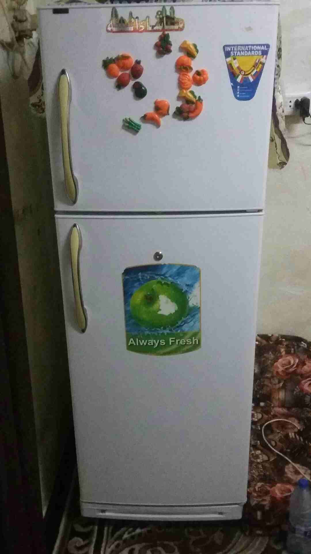 يوجد لدي ثلاجه للبيع
لا تنسَ أنك شاهدت هذا الإعلان في عنكبوت
يوجد لدي ثلاجه للبيع...
