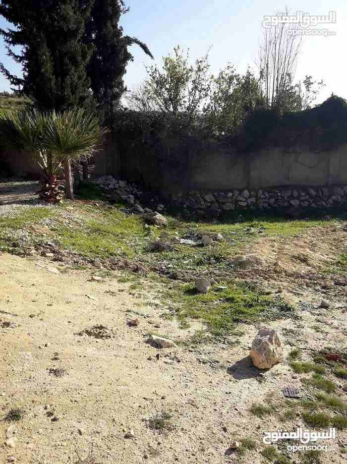 ارض للبيع ناعور وسيل حسبان قرب النبع
لا تنسَ أنك شاهدت هذا الإعلان في عنكبوت
ارض للبيع
اراضي نا...