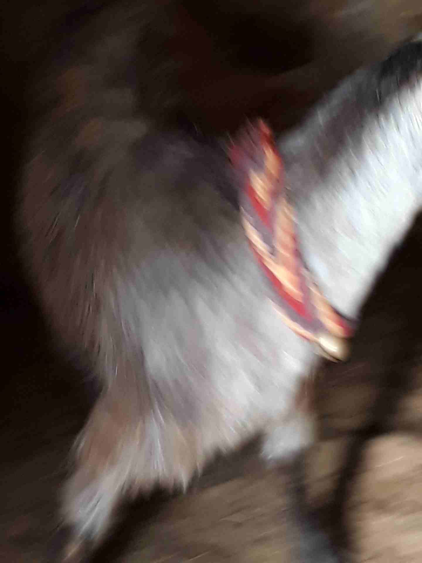 ثنيه كفاله حليب
لا تنسَ أنك شاهدت هذا الإعلان في عنكبوت
ثنيه كفاله حليب موجوده بالمفرق...