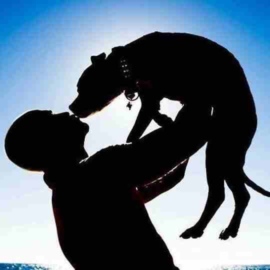 تدريب جميع أنواع الكلاب
لا تنسَ أنك شاهدت هذا الإعلان في عنكبوت
Train all types of dogs on orders...
