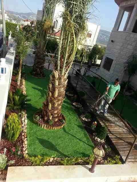أعمال زراعة وتنسيق الحدائق
لا تنسَ أنك شاهدت هذا الإعلان في عنكبوت
مؤسسة الحديقه العصريه لزراعة و...