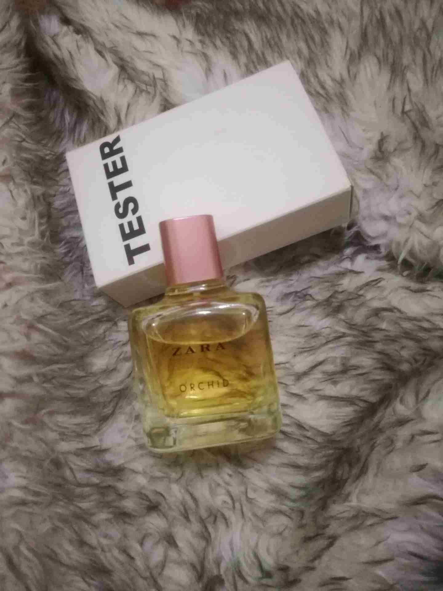 عطور تستر ماركات عالمية <بسعر حرق>
لا تنسَ أنك شاهدت هذا الإعلان في عنكبوت
عطور تستر اص...