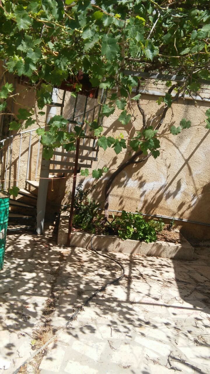بيت شبه فيلا للبيع ماحص
لا تنسَ أنك شاهدت هذا الإعلان في عنكبوت
بيت مستقل للبيع مكون من طابقي...