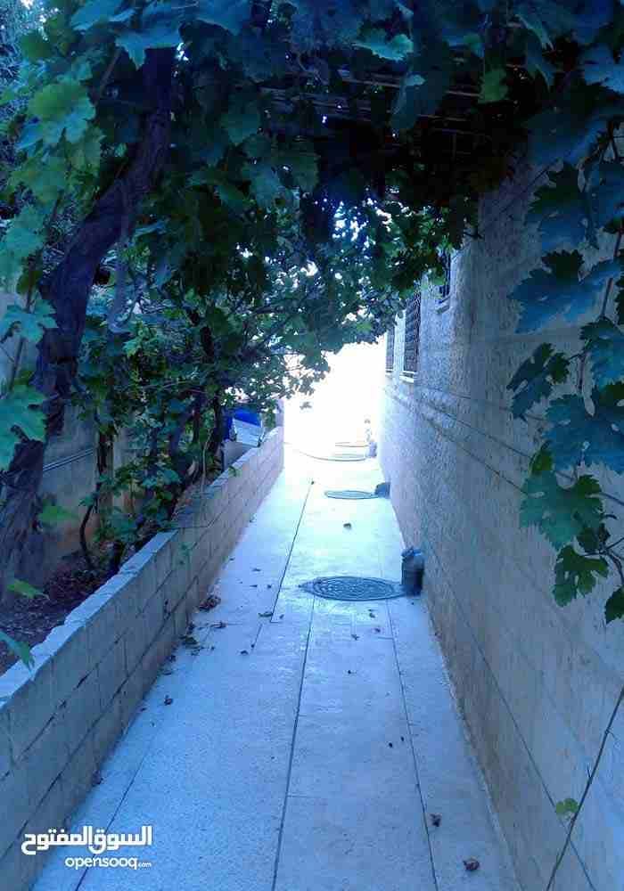 السلام وعليكم ورحمة الله وبركاته
عندي عماره للبيع من المالك المباشر
عماره مكونه من طابقين والطابق الثالث مرفوع شموع عماره مكون من اربع واجهات حجر مدهونه دهان خارجي جديد عماره ما شاء الله عليه الطابق...