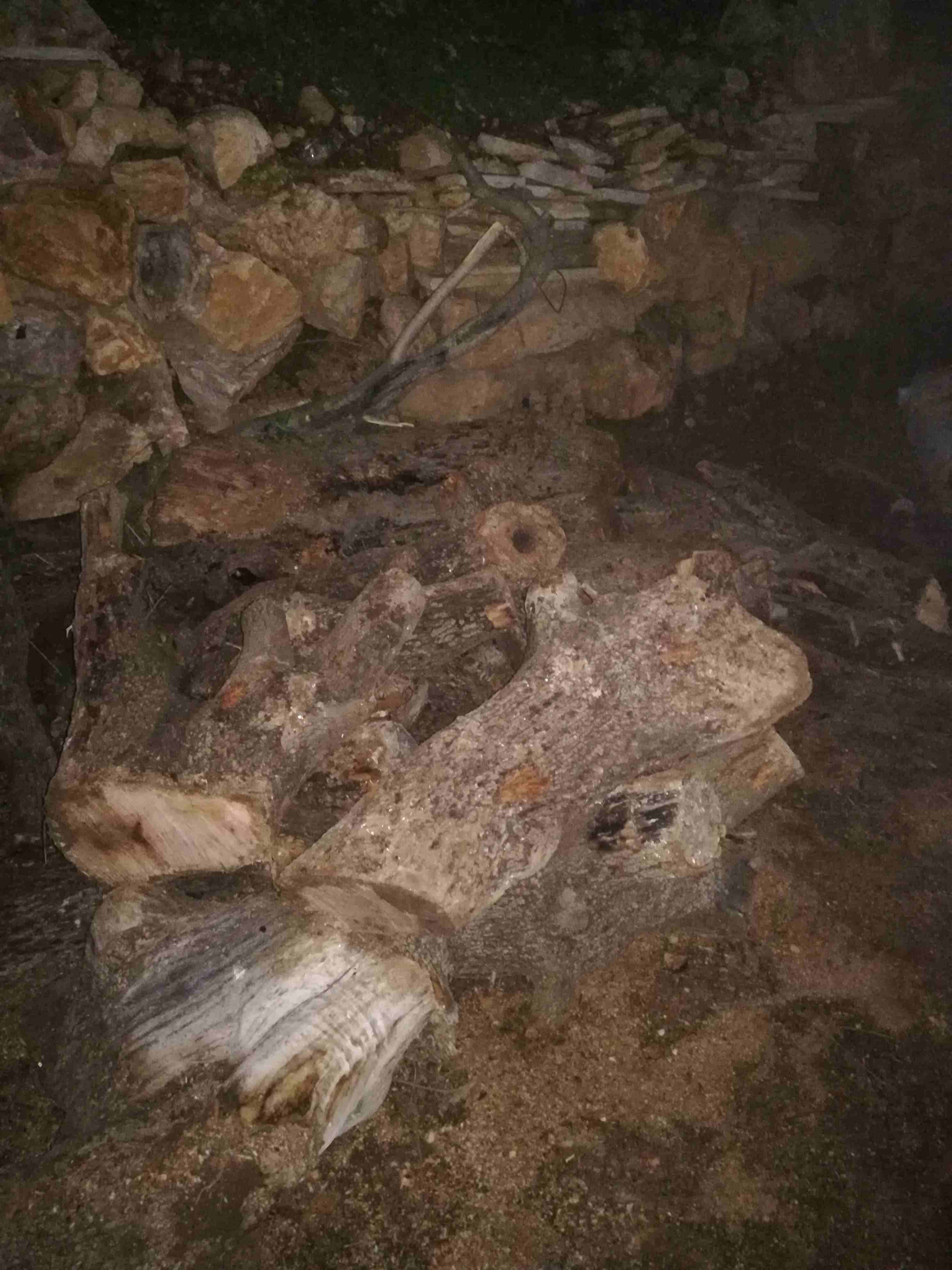 حطب بلوط اصلي للبيع
لا تنسَ أنك شاهدت هذا الإعلان في عنكبوت
حطب يابس للبيع بلوط اصلي سعر طون 100...