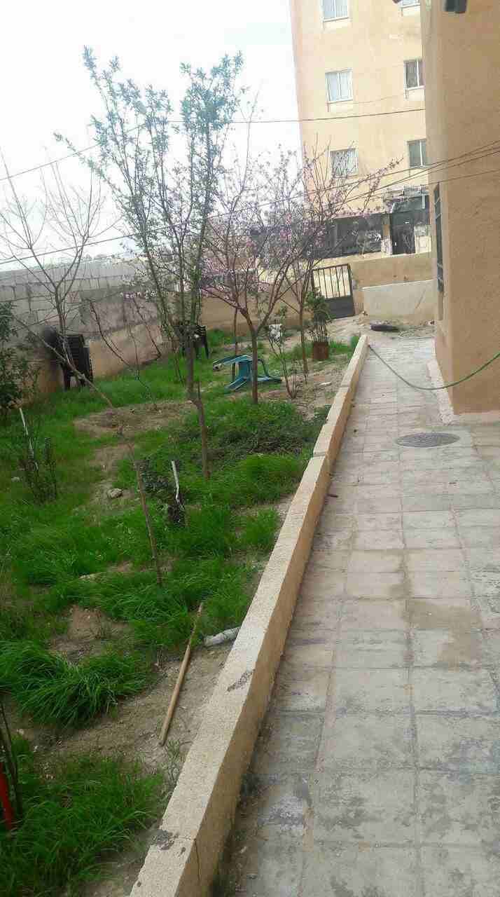 شقة للبيع بسعر مغري دفعة وأقساط
لا تنسَ أنك شاهدت هذا الإعلان في عنكبوت
حديقة 250 متر تلصح البناء...