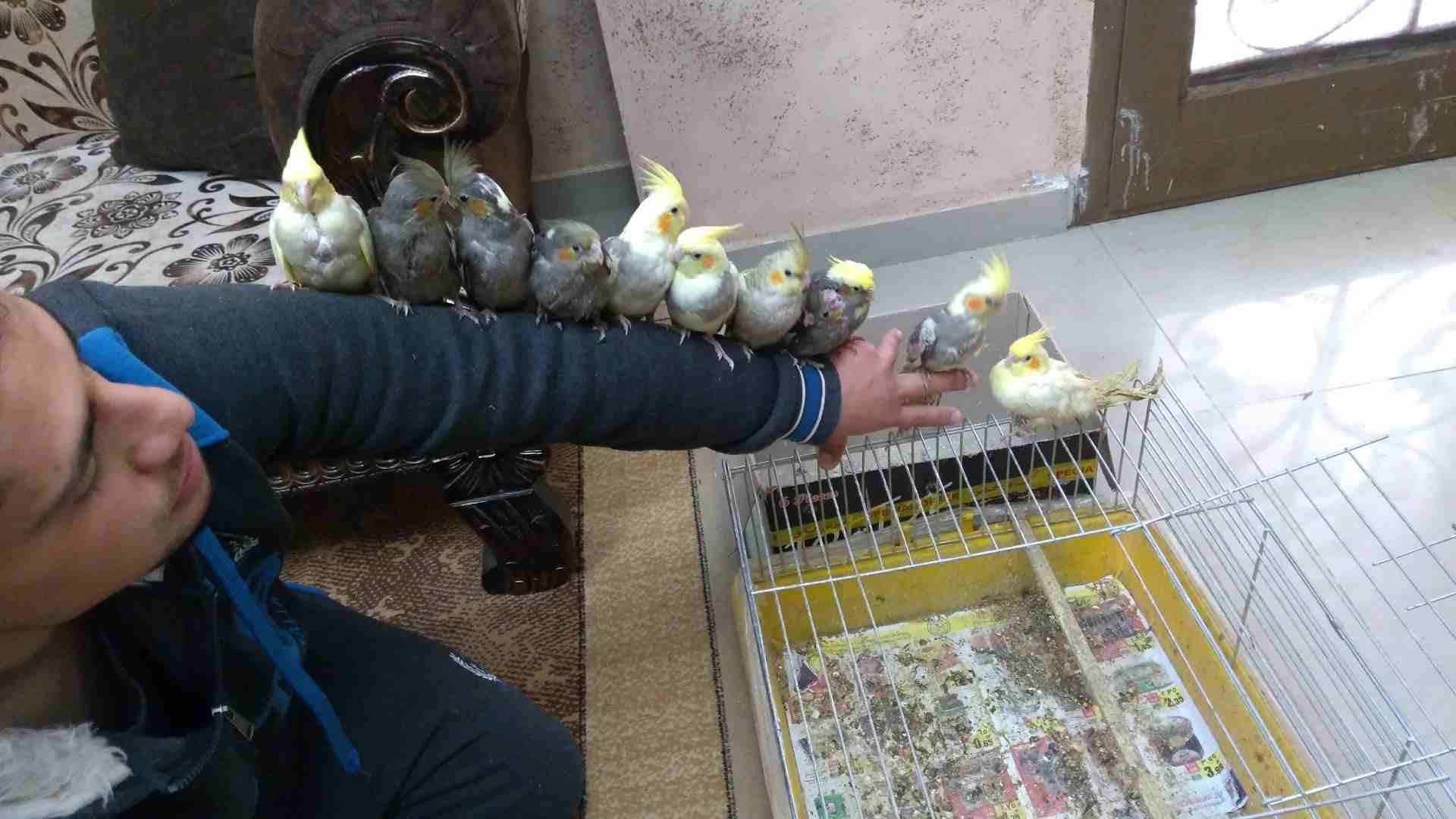 كوكتيل أليف
لا تنسَ أنك شاهدت هذا الإعلان في عنكبوت
ما شاء الله
عرض خاص يا بلاش بلدي صحة ونظافة
ك...