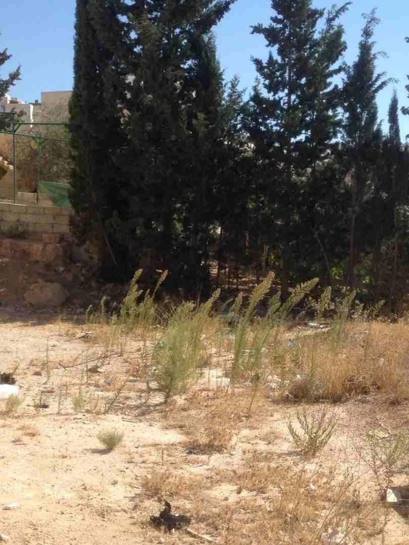 للبيع ابو نصير ام بطمه 480م قرب مستشفى الرشيد من المالك
لا تنسَ أنك شاهدت هذا الإعلان في عنكبوت...